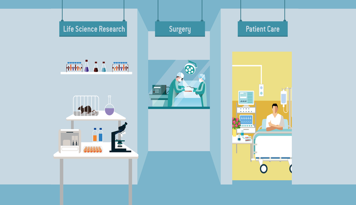 插图的医学和生命科学应用的光学传感器