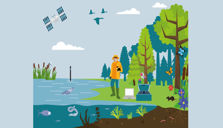 插图的生物和环境应用光学传感器